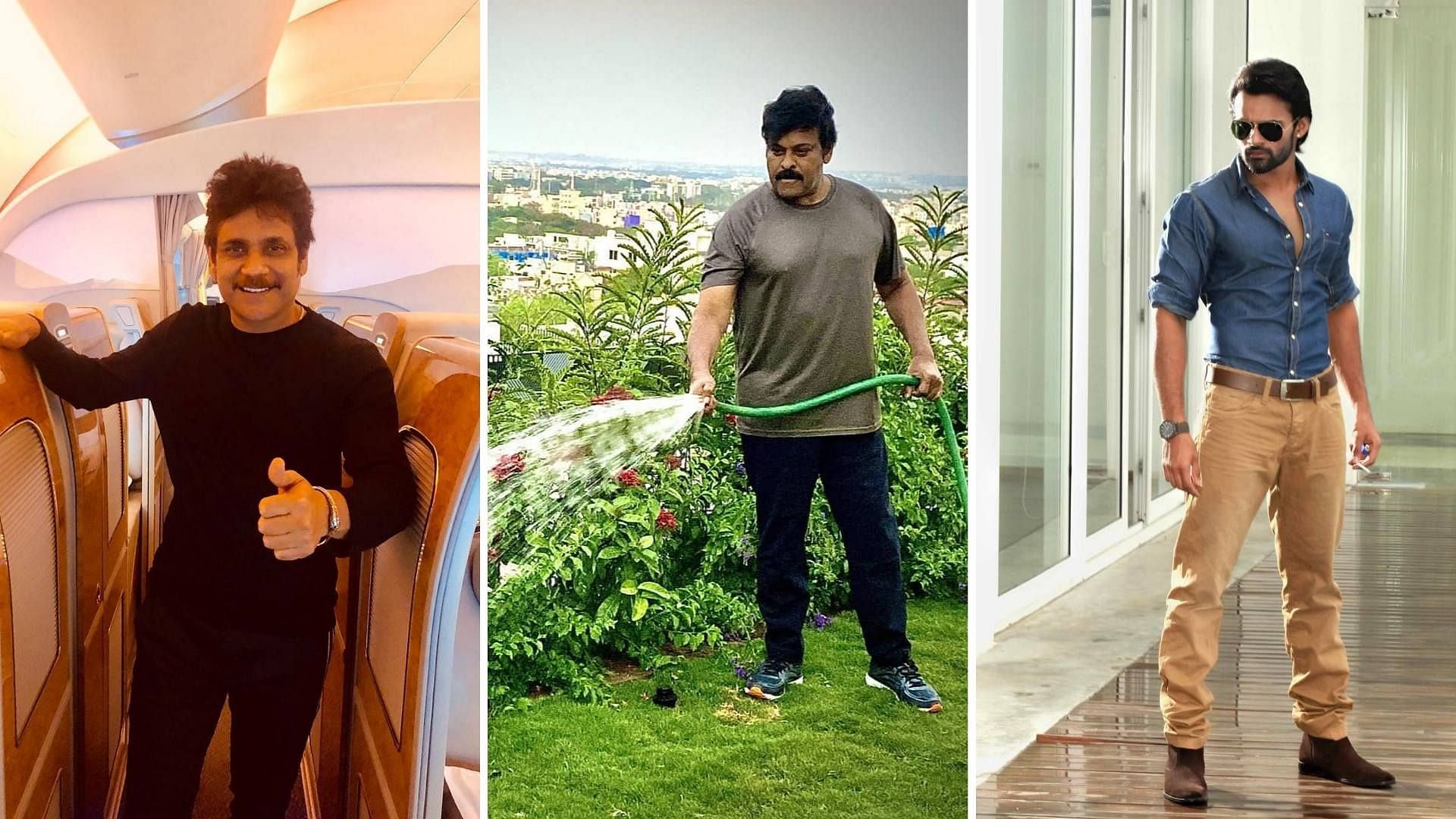 Nagarjun, Chiranjeevi And Sai Dharam Tej Are Telugu Actors Who Have