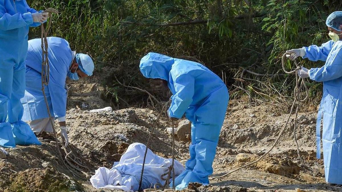 Stray Dogs Feed on Human Corpses At Riverbank in Uttarakhand