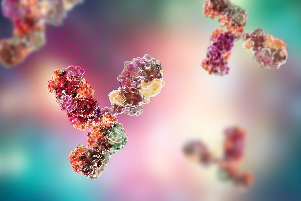COVID19 Human Trials Begin for Potential Antibody Treatment