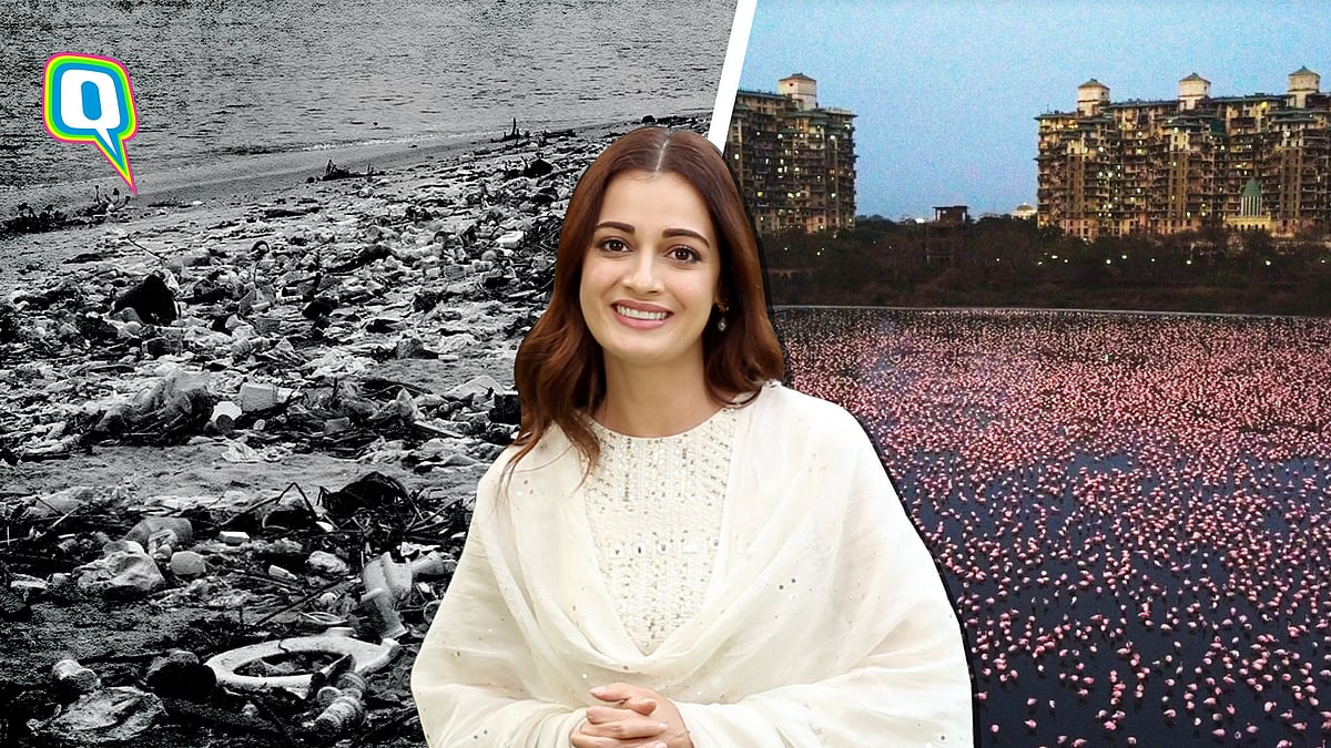 The Earth Doesn T Deserve Our Old Normal Dia Mirza