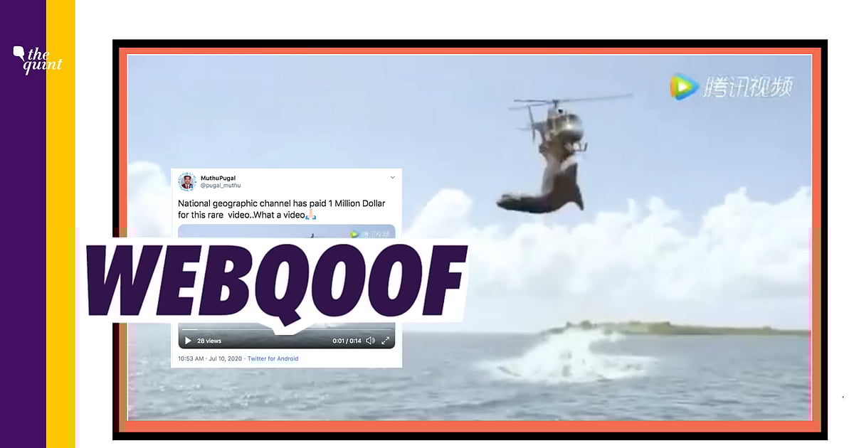 Fact Check of National Geographic Video: Nat Geo’s Video of Shark