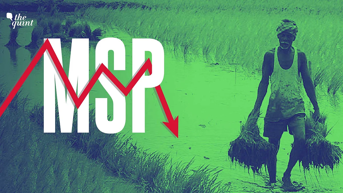 MSP: What is It, Why are Farmers Protesting Over It & Which States Benefit From It