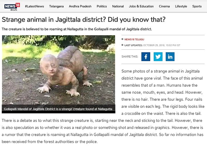 Mysterious Creatures That Were Really Spotted
