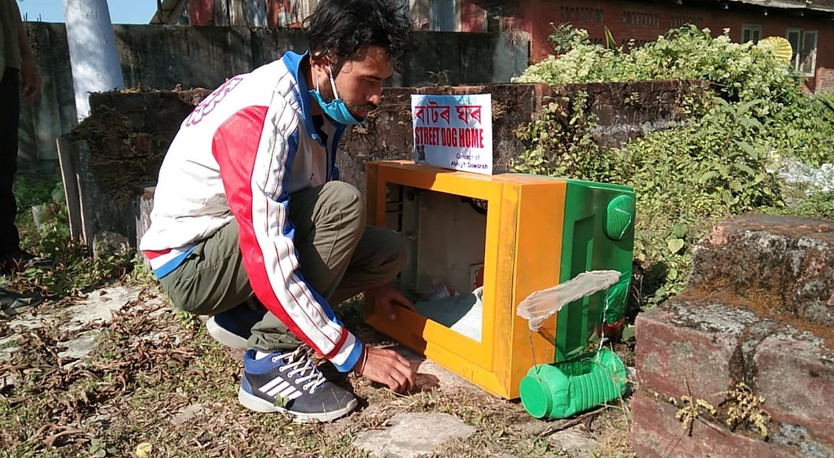 video-building-kennels-out-of-tv-sets-as-shelter-for-strays-in-assam
