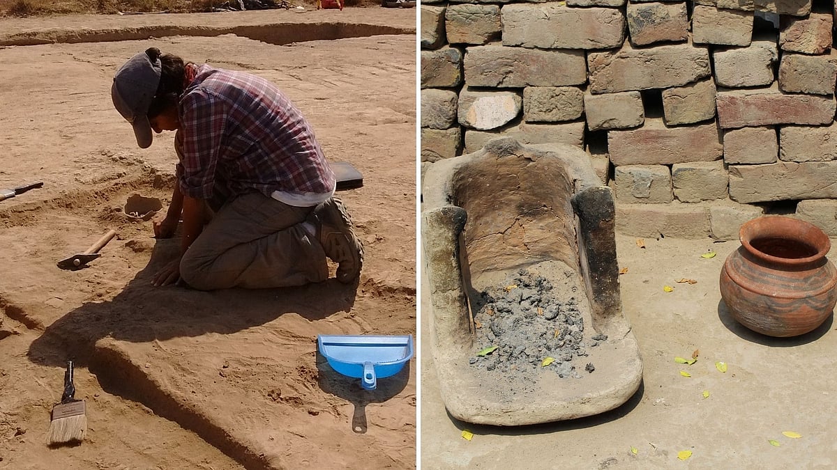 Meat Was Dominant in Diet of Indus Valley Civilisation, Finds Study