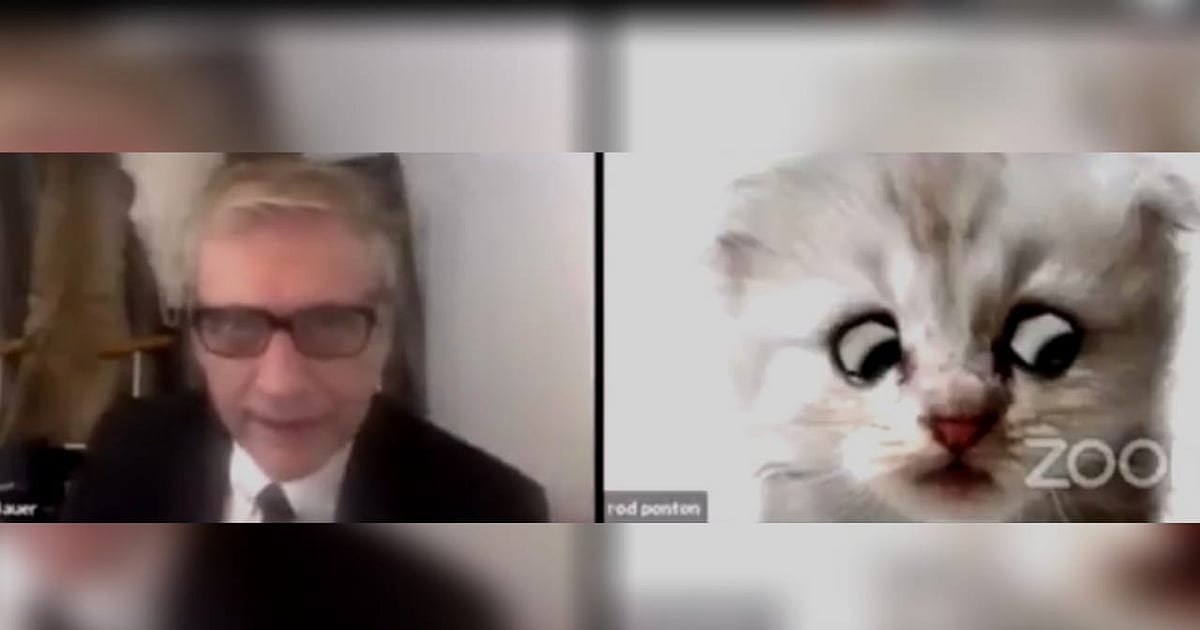 Watch Lawyer Struggles to Turn off Cat Filter During Zoom Hearing