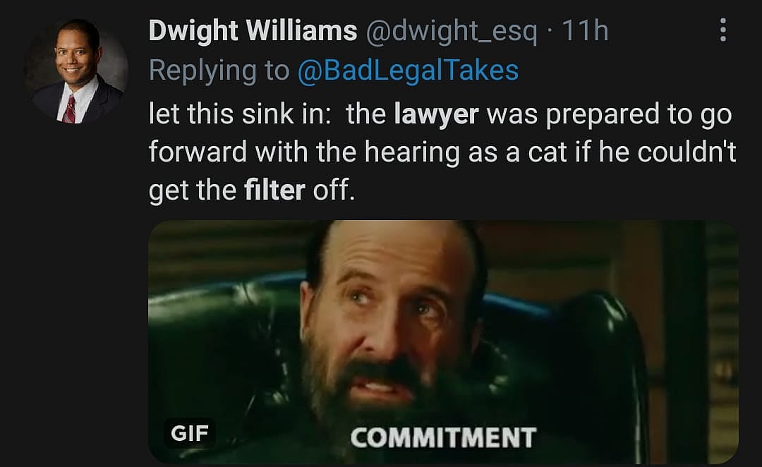 Watch Lawyer Struggles to Turn off Cat Filter During Zoom Hearing