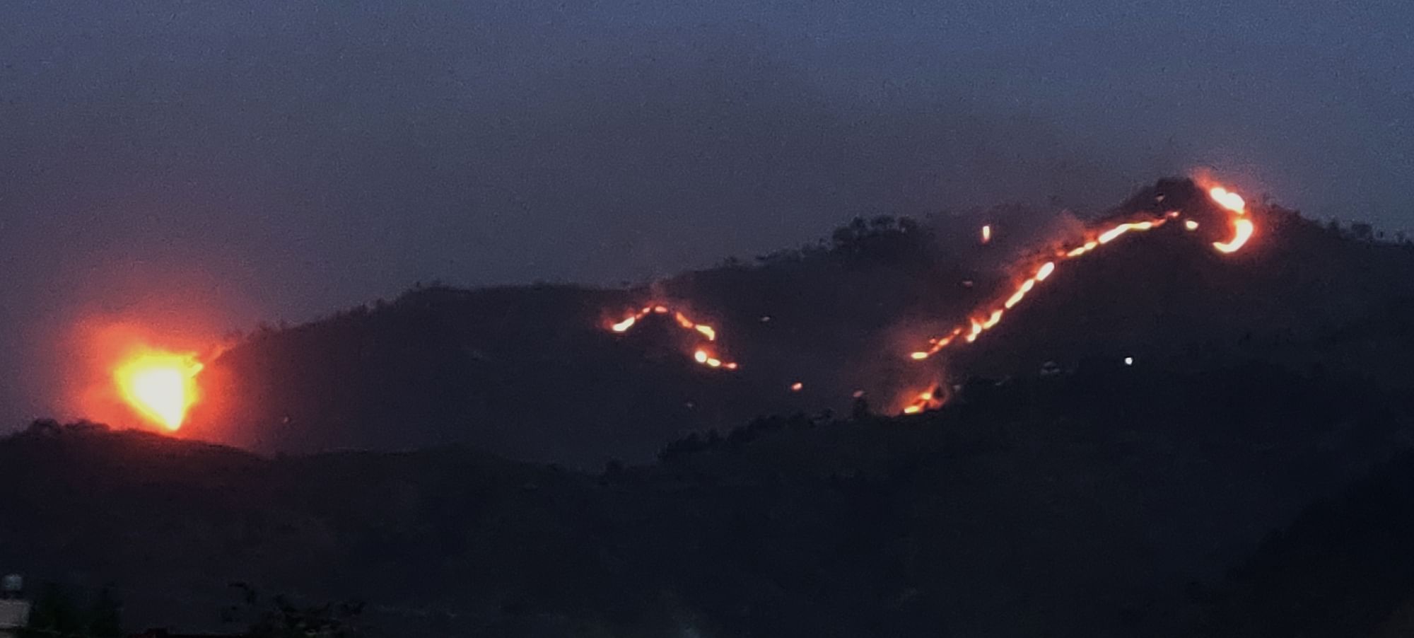 Video | Uttarakhand Forest Fires: Burnt Forest And Ash Near My House In ...