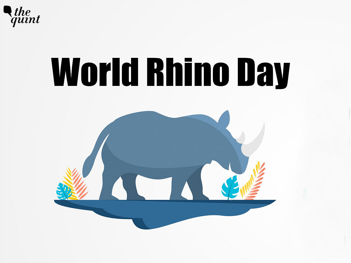 World Rhino Day 2021 History, Significance, Quotes, Posters and why is
