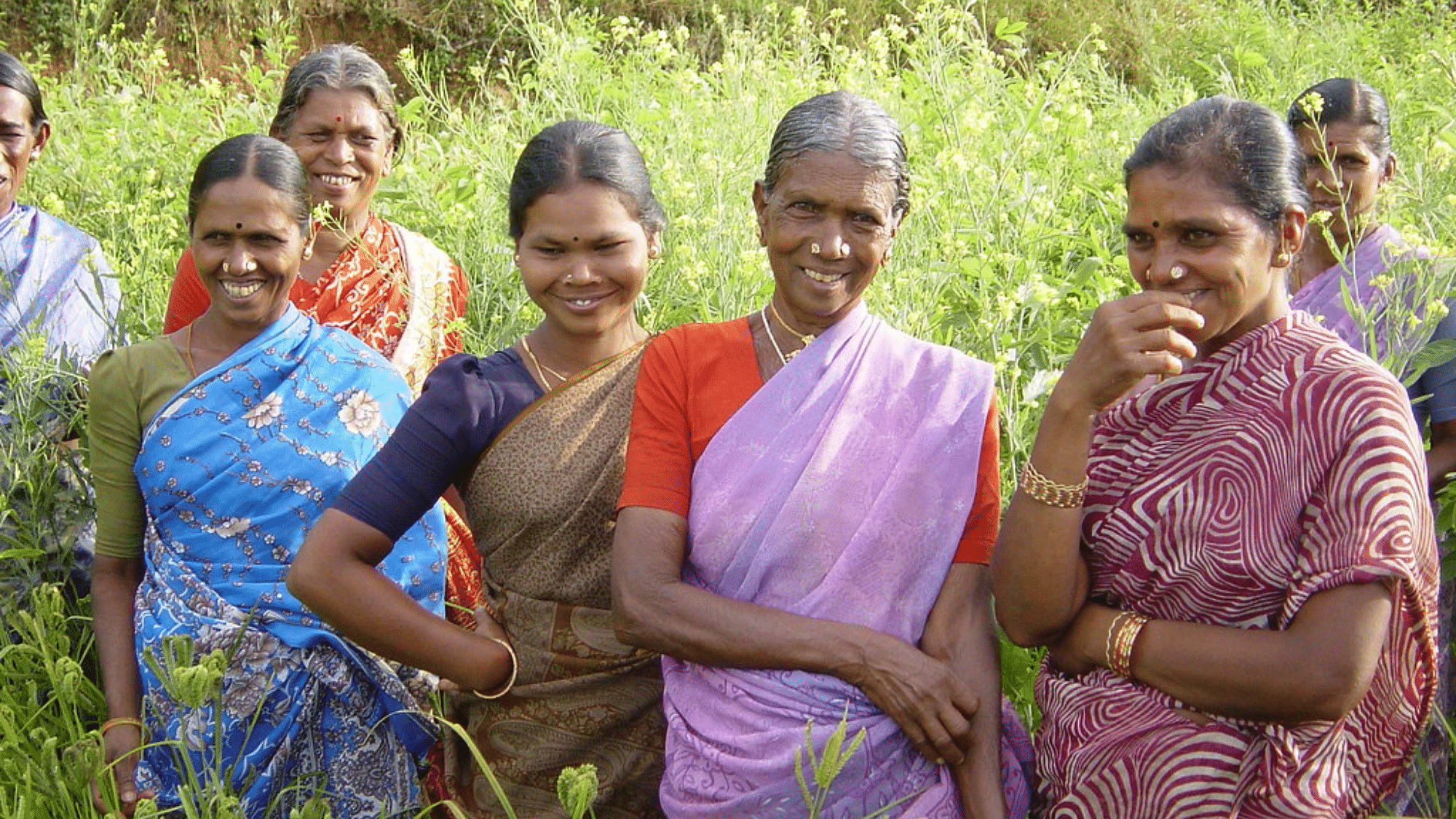 Meet Bank Didi, the Jharkhand Woman Who Started Home Bank, Helped 2,500 ...