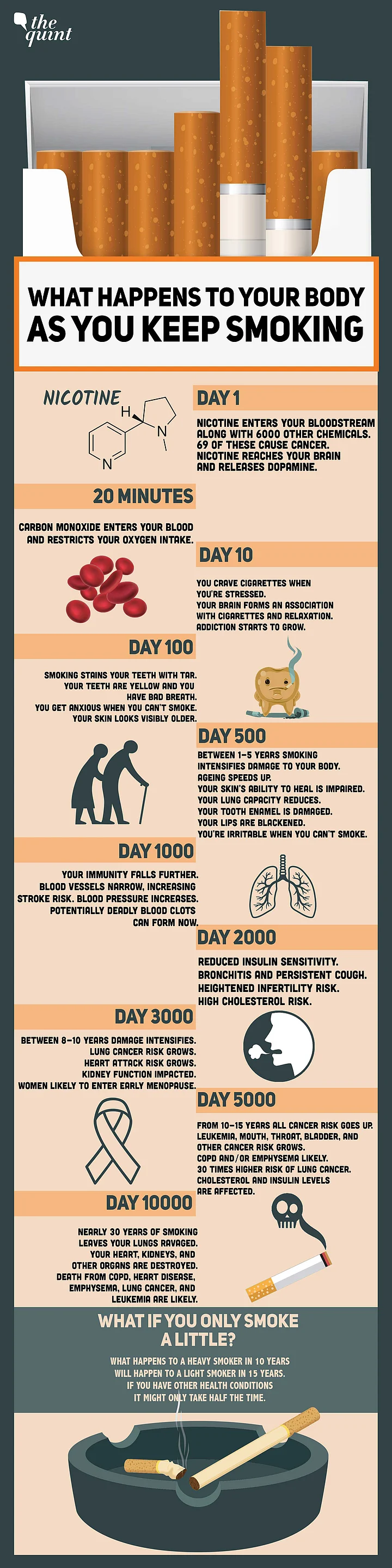 World No Tobacco Day 2022 A Timeline of What Happens TO Your Body As