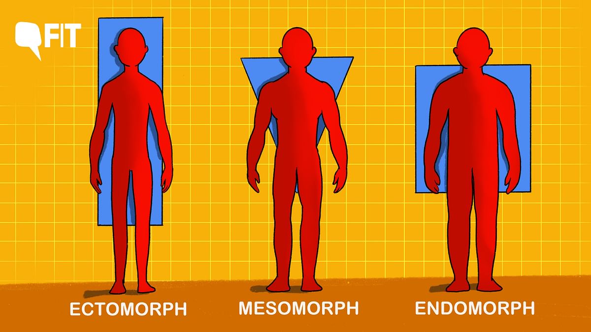 Know Your Metabolic Type, Get More Out of Workouts