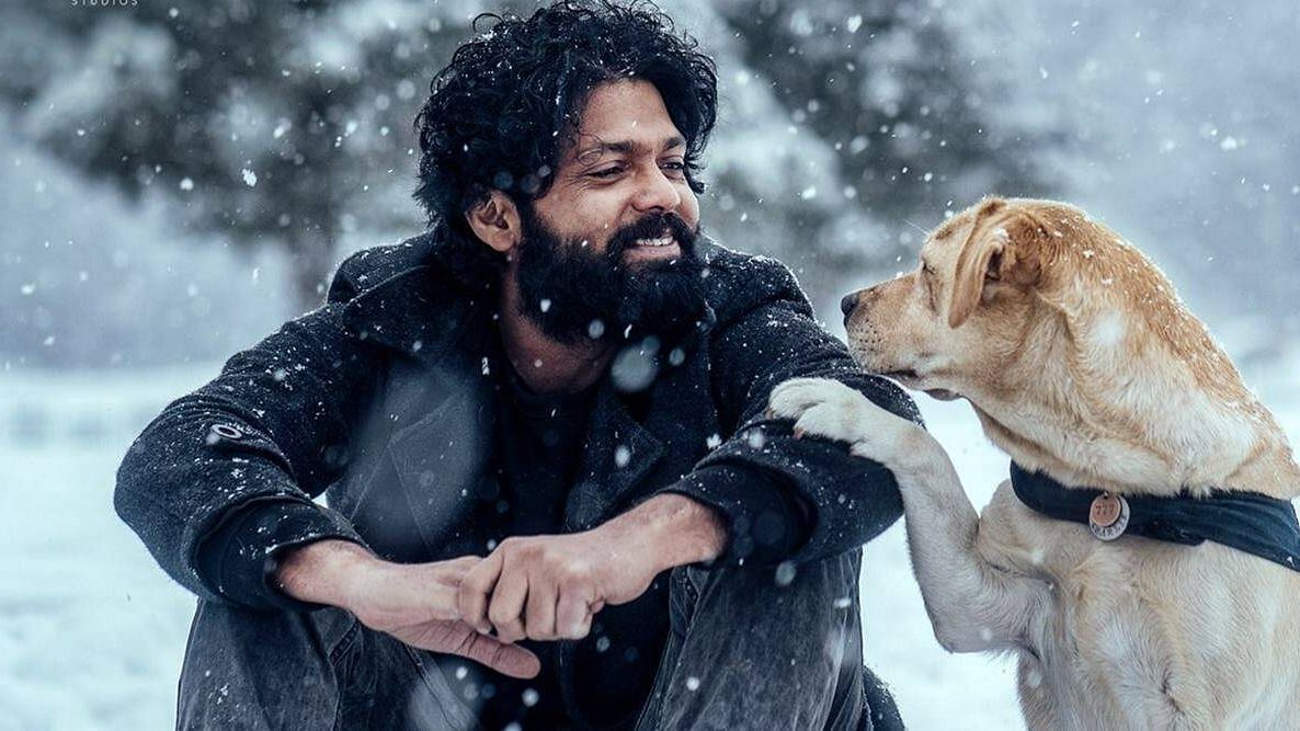 Rakshit Shetty's '777 Charlie' Review and Rating: Every Dog Has ...