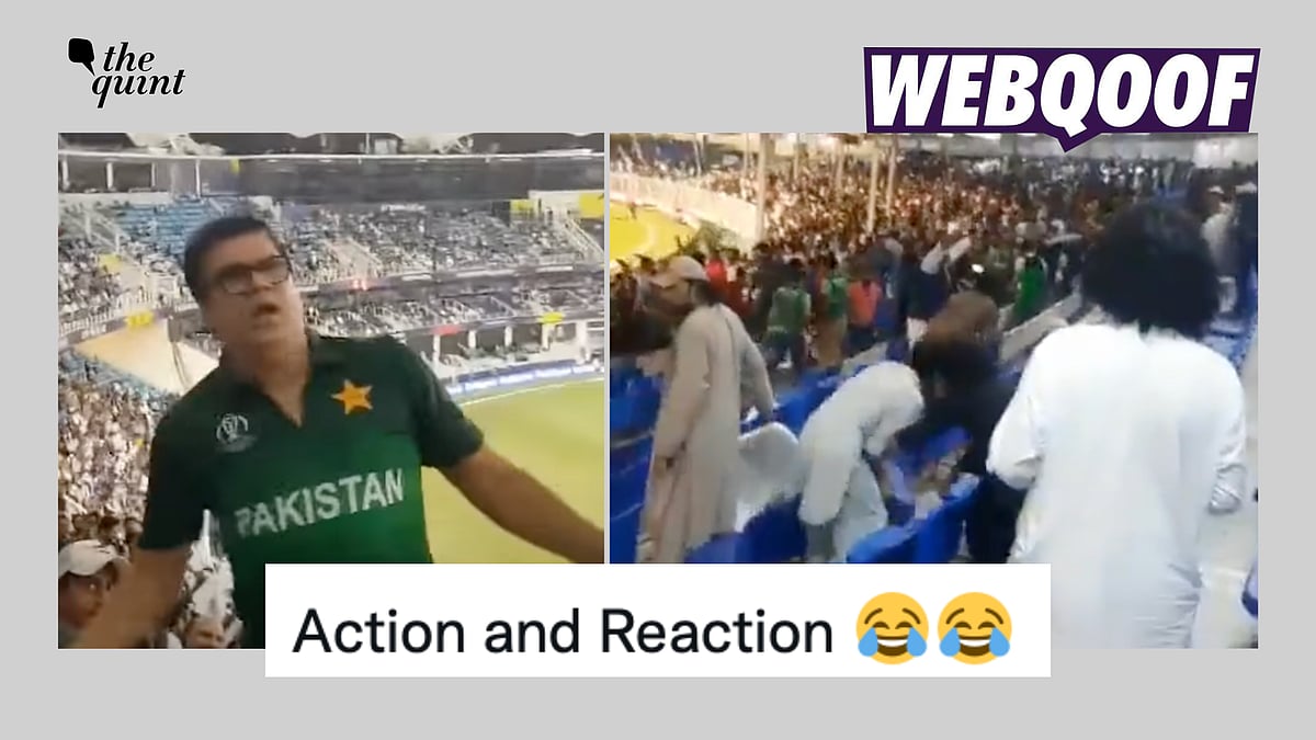 FactCheck No, A Dancing Pakistan Cricket Fan Did Not 'Provoke