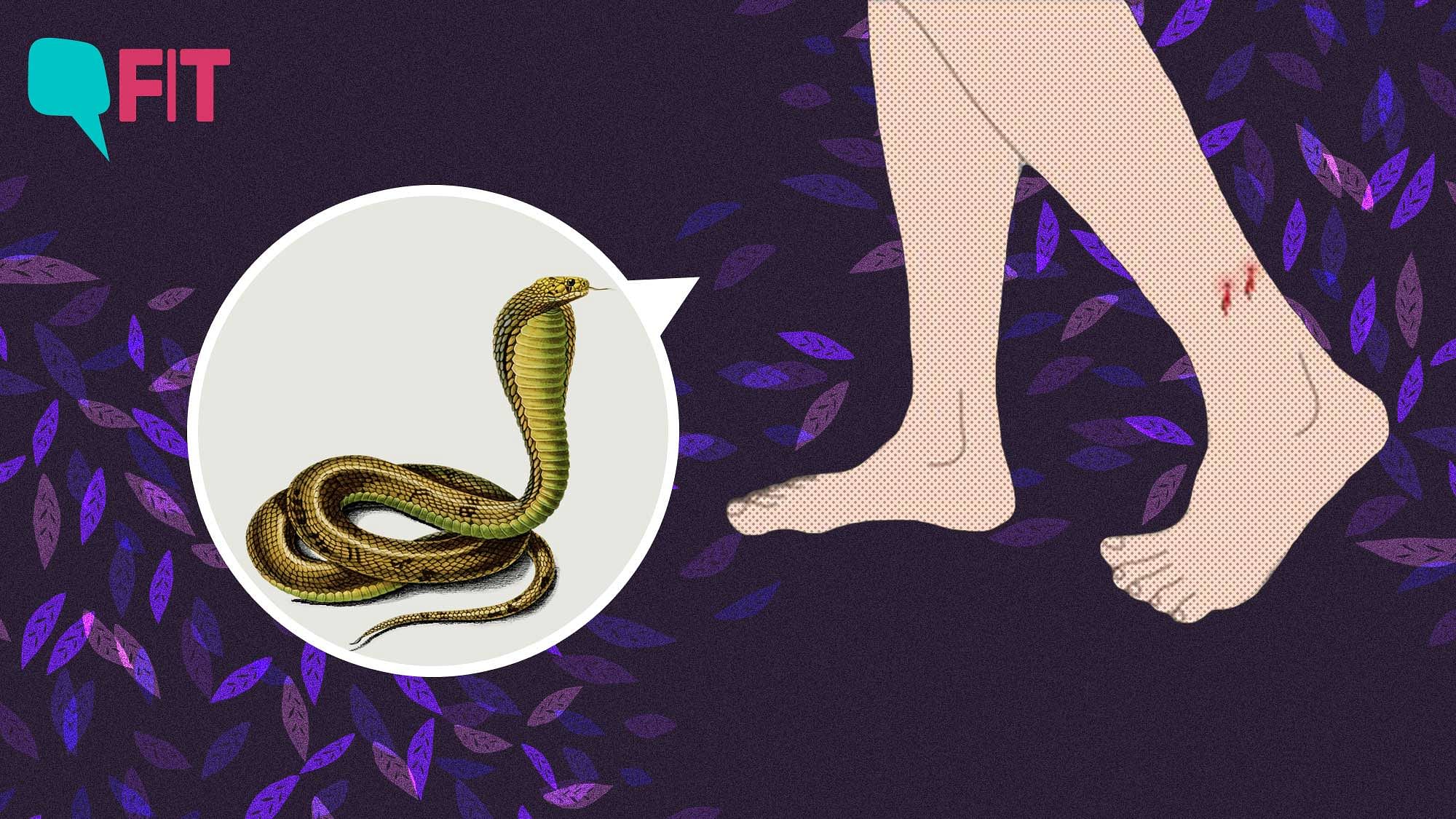 58,000 Indians Die Of Snakebites Every Year: Why Is It Still Neglected?