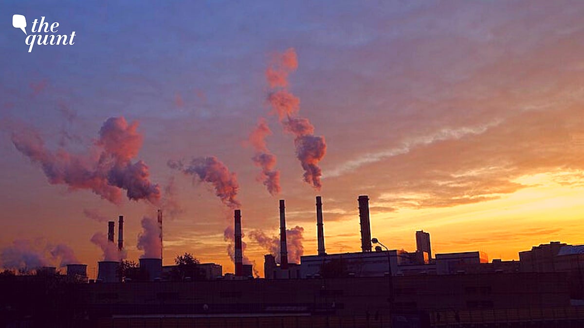 three-years-after-closure-order-19-tyre-pyrolysis-units-continue
