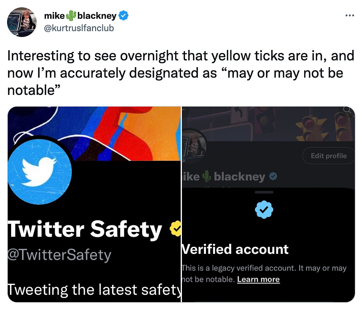 Netizens Have Hilarious Reactions to Twitter Introducing Gold, Grey