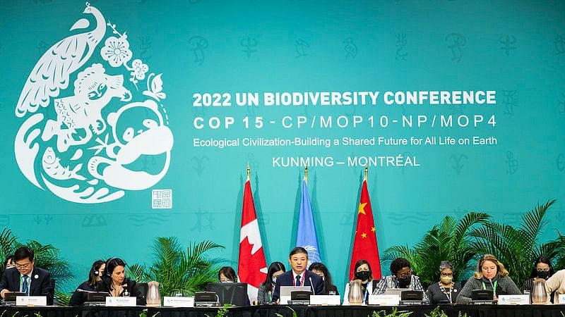 COP15: Nations Adopt 'Historic' Accord To Halt Biodiversity Loss By 2030