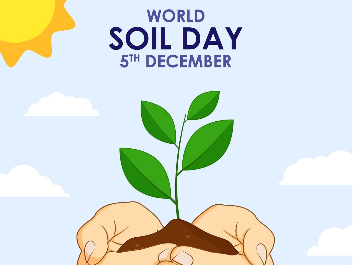 World Soil Day 2022 Theme Quotes And Posters   Vector Illustration Of World Soil Day Jpg S 1024x1024 W Is K 20 C V55m7JZyBK3OkzwMExTLyftyh65pQnyhFQ 