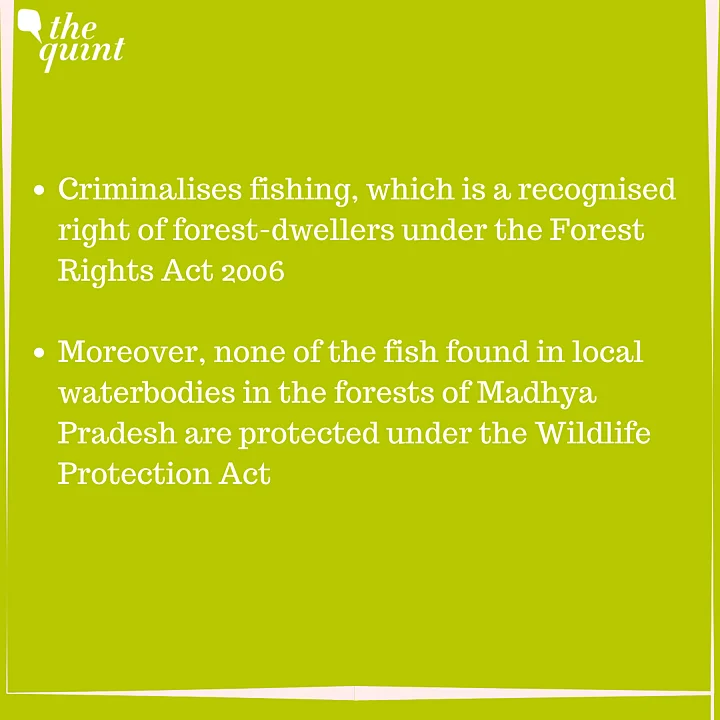 The Wildlife Protection Act & How It Is Criminalise Forest