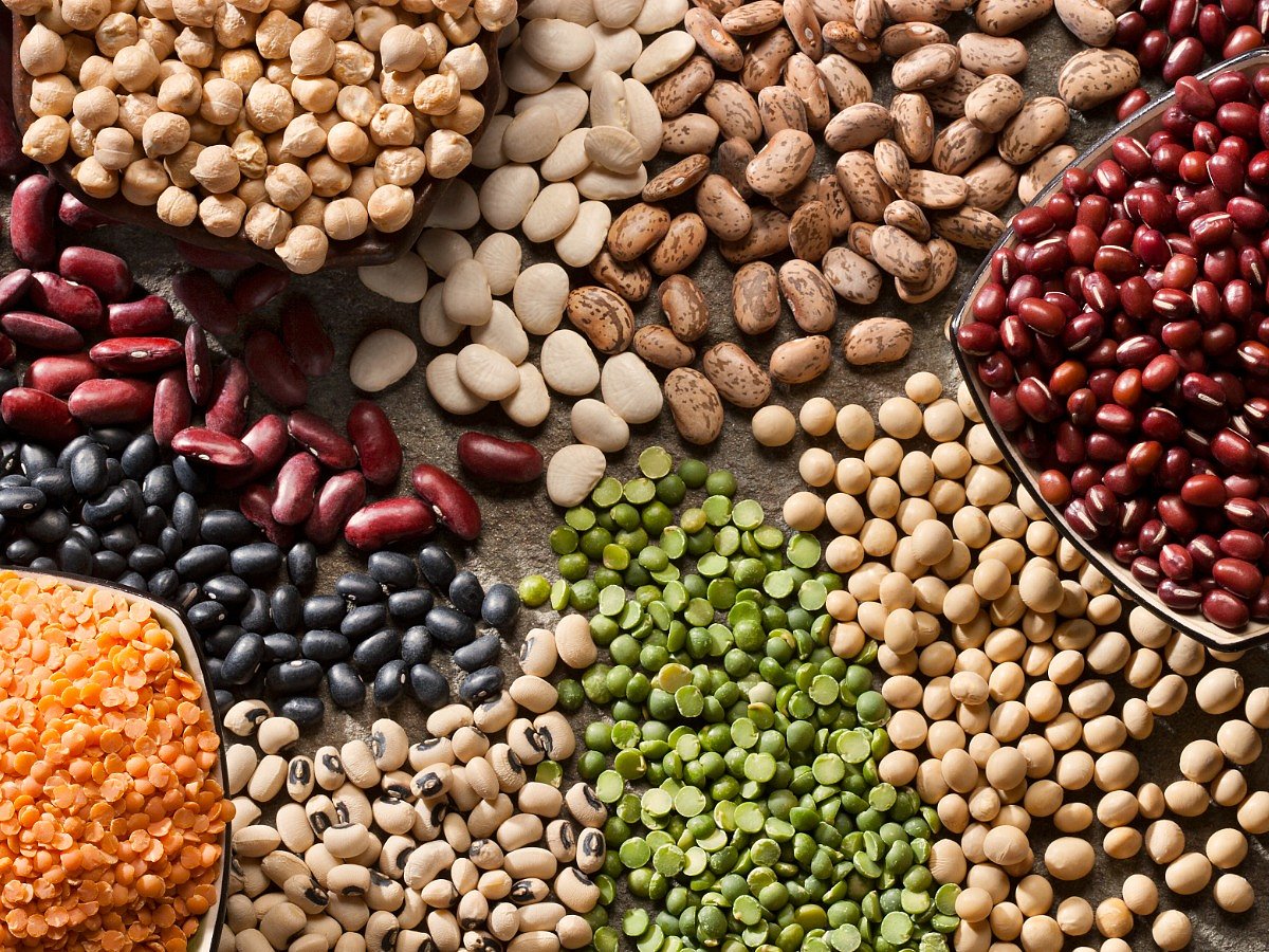 Benefits of Consuming Different Types of Beans in Your Diet
