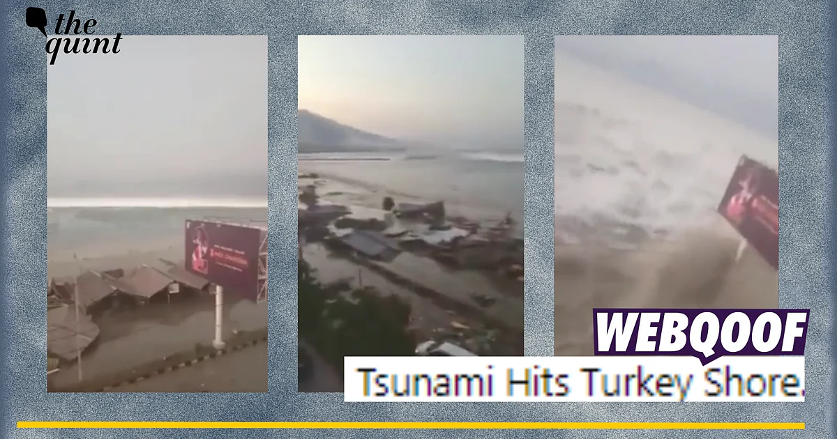What is the recent tsunami