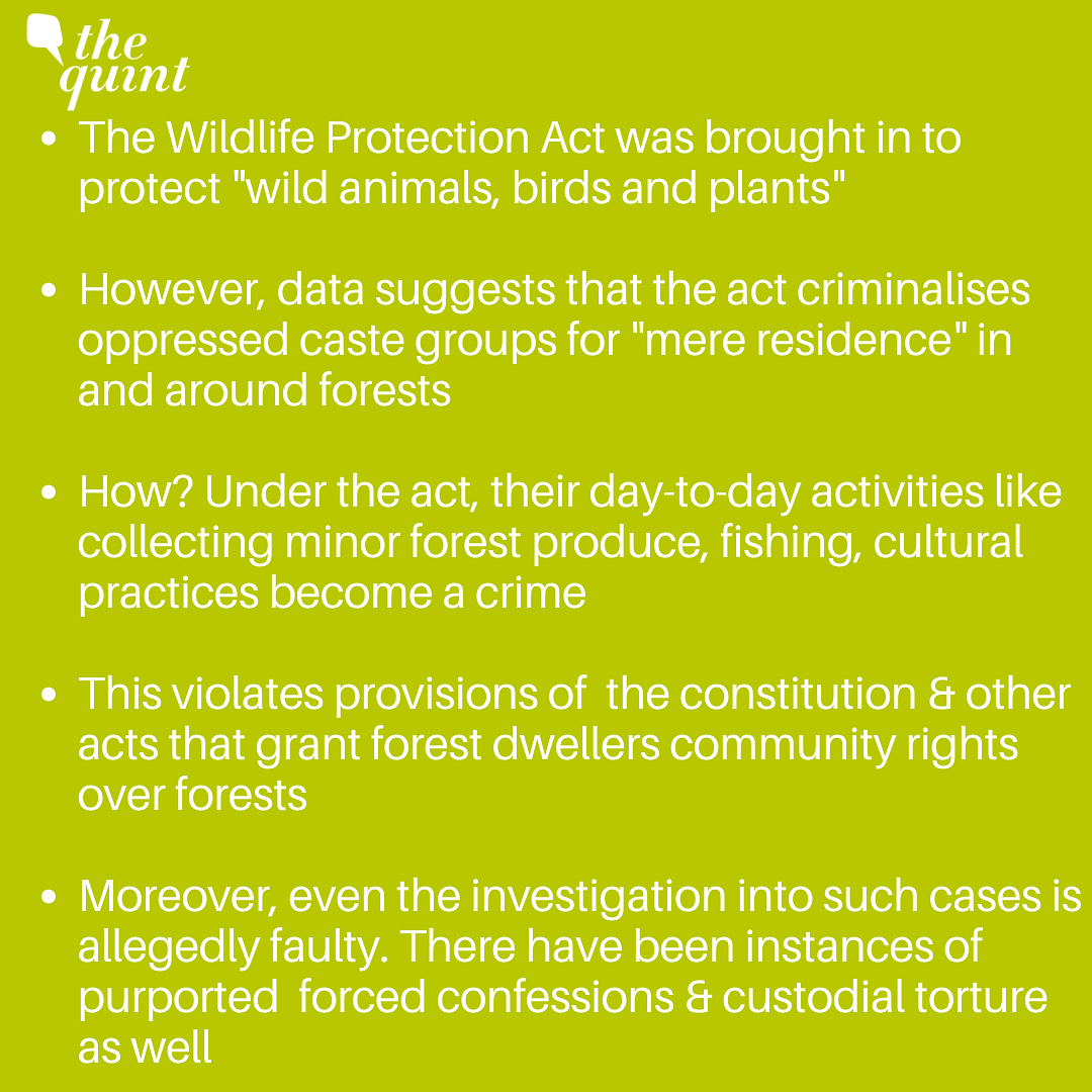 the-wildlife-protection-act-how-it-is-criminalise-forest