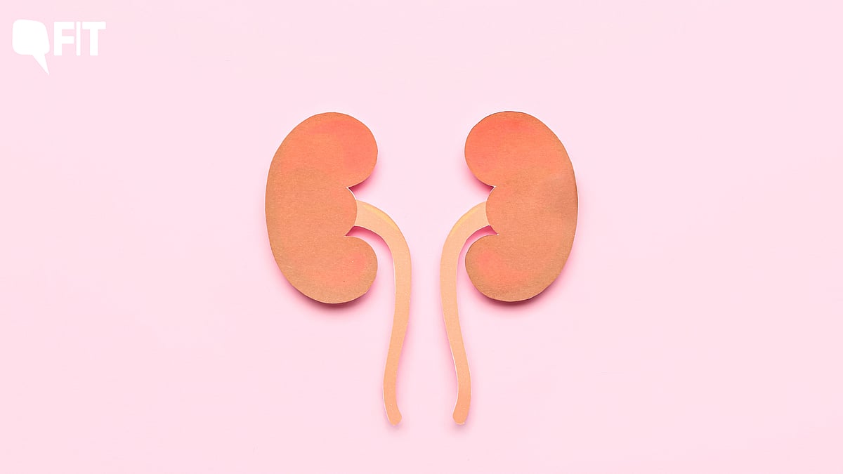 'Beer Can Help Flush Out Kidney Stones' Fact or Myth?