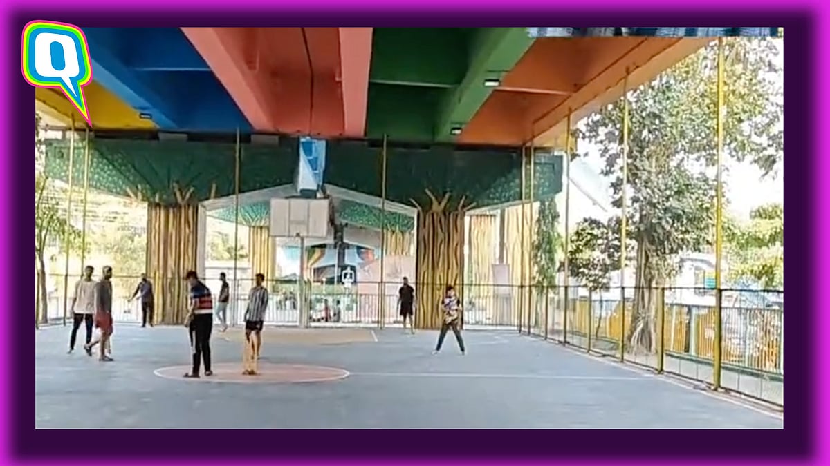 Sports Arena Under A Mumbai Flyover? Netizens Find It Brilliant