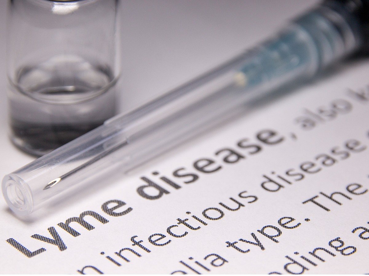 Lyme Disease Causes, Symptoms, Diagnosis, and Treatment
