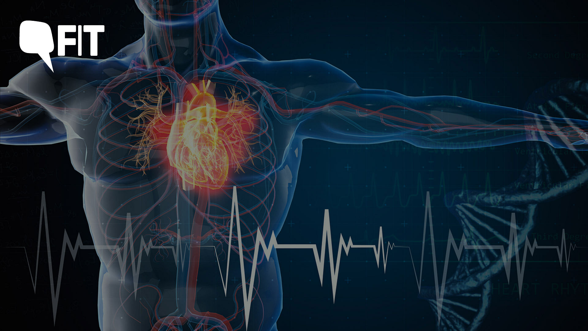 What Should I Do Before a Cardiac Stress Test?: Chinatown Cardiology:  Cardiologists