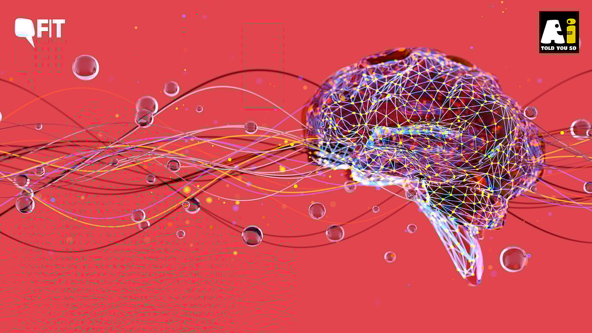 Digging Deeper Into These Umbrella Terms