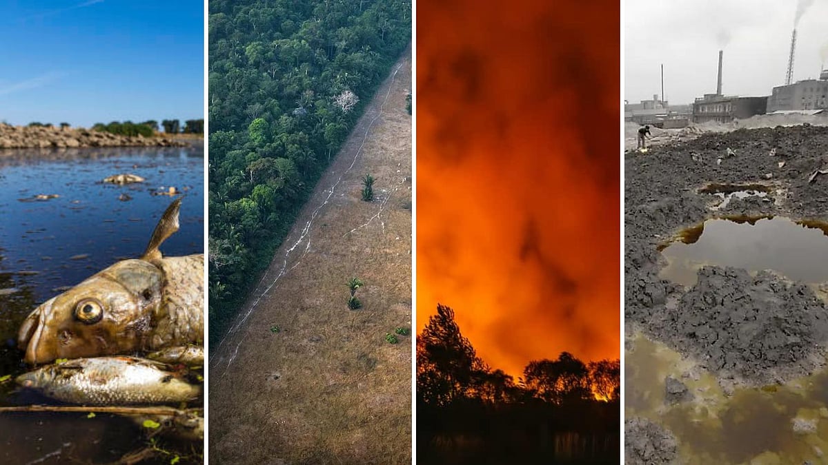 Environmental Destruction Before And After