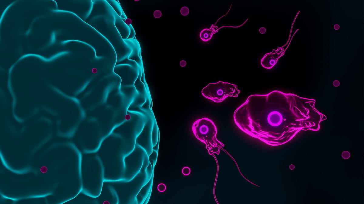 15 Year Old Kerala Boy Dies From Brain Eating Amoeba What Is Pam 