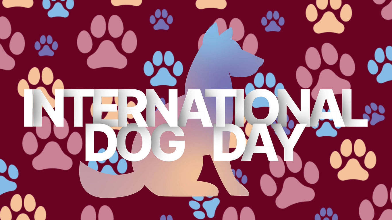 International Dog Day 2023 Today Date, Theme, History, Significance