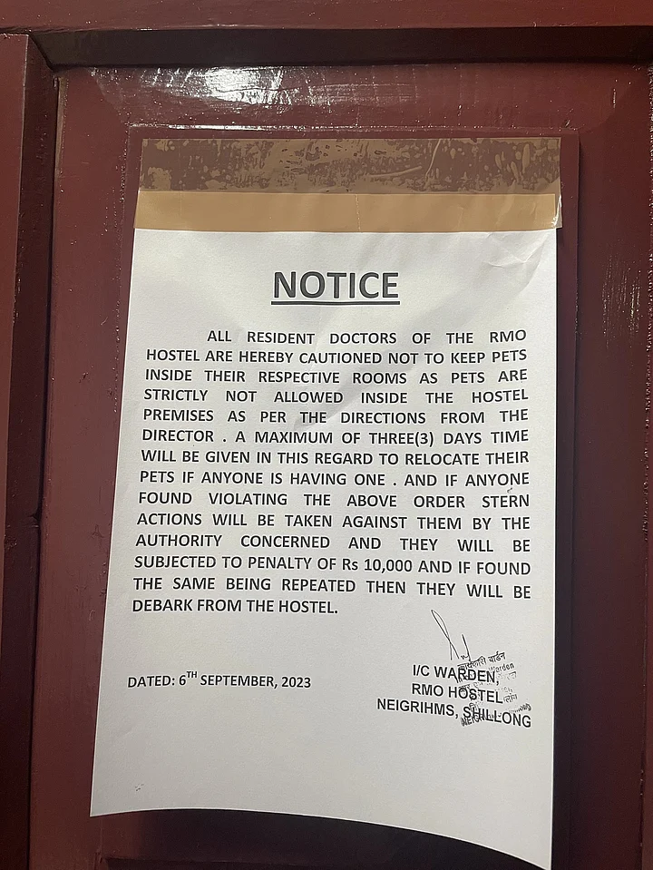 'How Can We Abandon Them?' Blanket Ban on Pets in Shillong Hostel