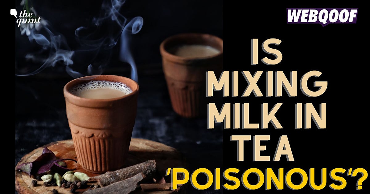 Factcheck Is Mixing Milk With Tea 'Poisonous' To Our Health? Let's