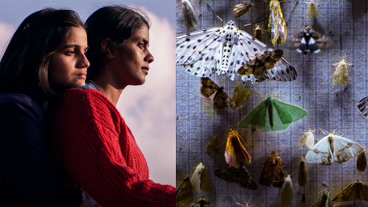 Sundance Film Festival 2024 Full Winners List Two Indian Productions