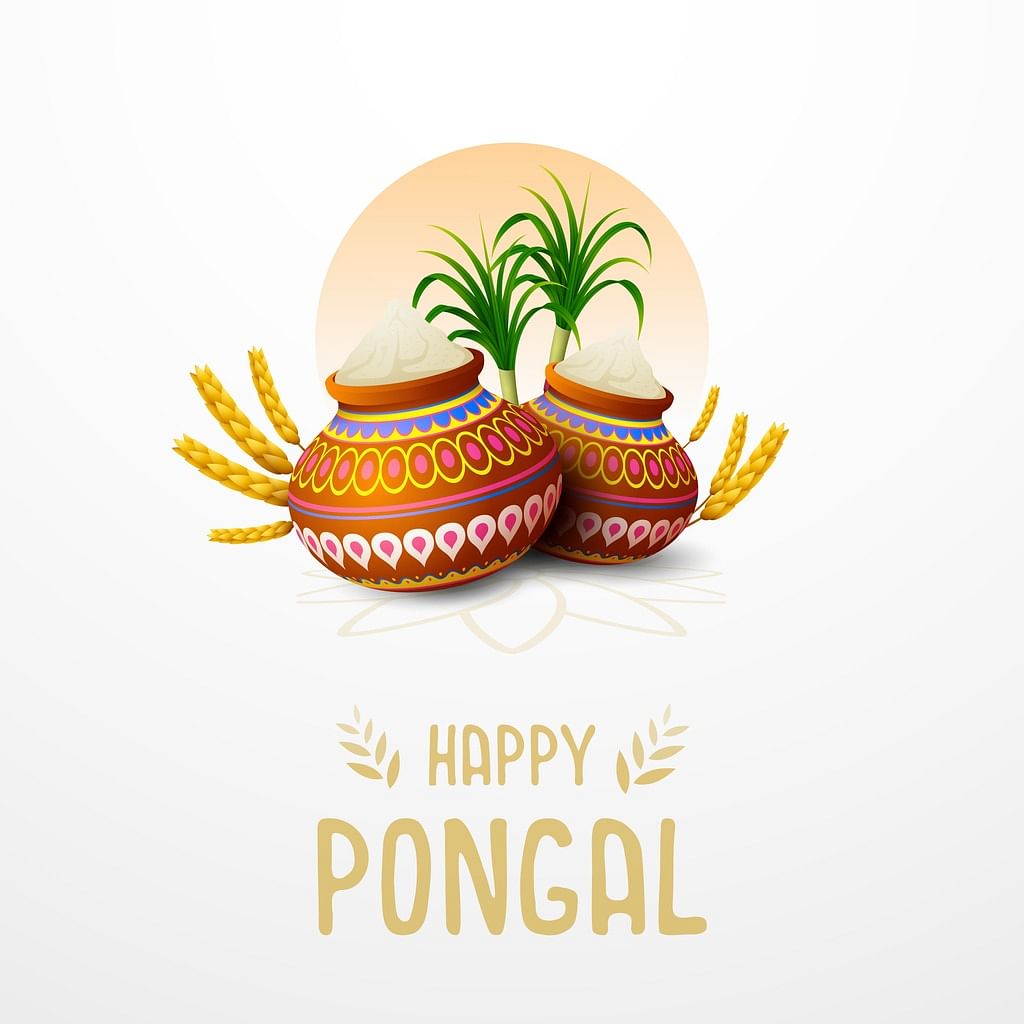 Happy Pongal 2024 Images, Wishes, Quotes and WhatsApp Messages To Share