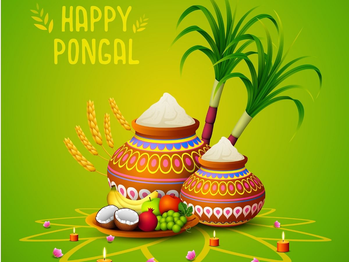 Happy Pongal 2024 Images, Wishes, Quotes and WhatsApp Messages To Share