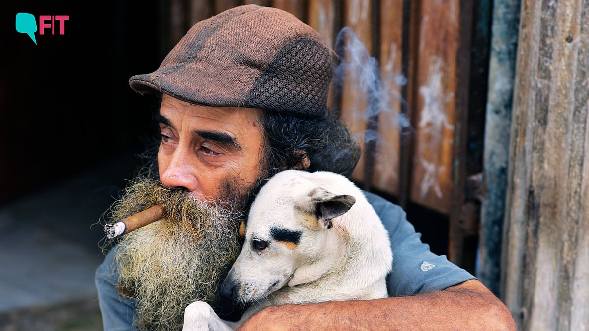 How Does SecondHand Smoke Affect Your Pet's Health?