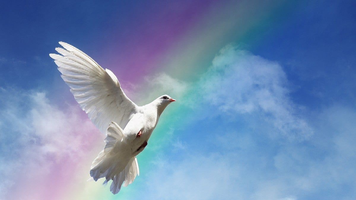 World Understanding and Peace Day 2024: Date, History & Significance