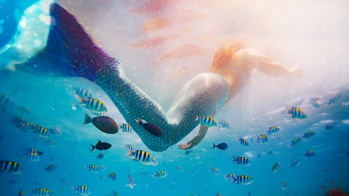 International Mermaid Day 2024 Date: History, Purpose, Origin ...