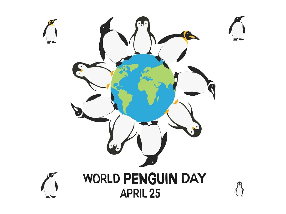 World Penguin Day 2024 Uk Penni Blakeley