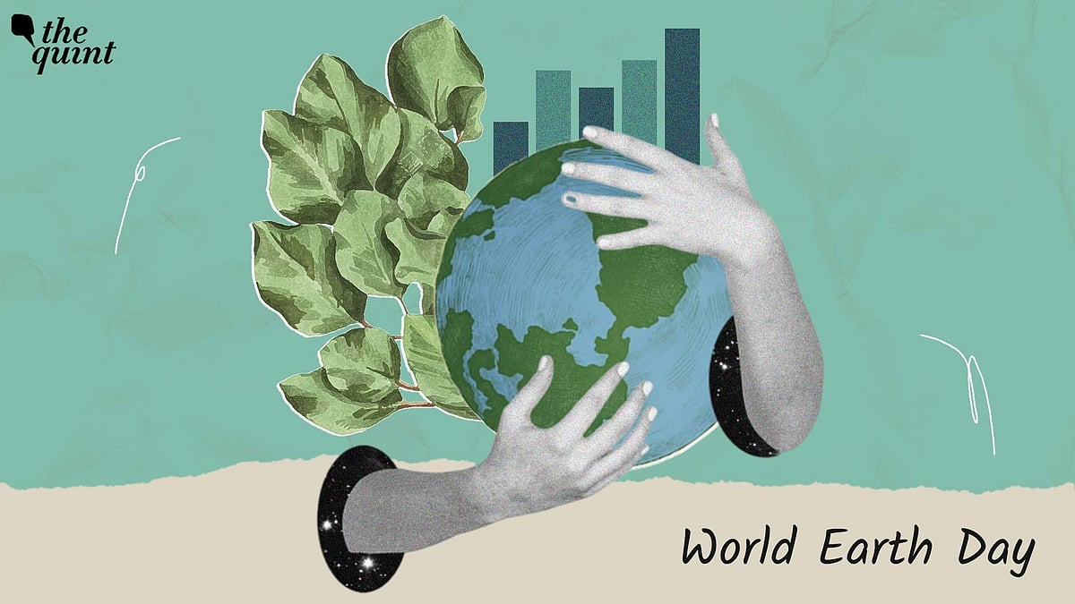 Earth Day 2024 | Why We Need To Make Our Cities Climate Resilient, and ...