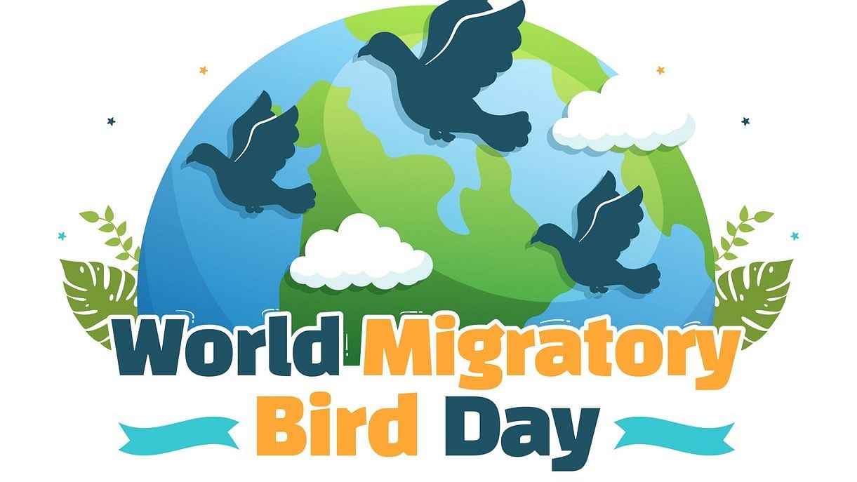 World Migratory Bird Day 2024 Theme 2024 Alexi Austina