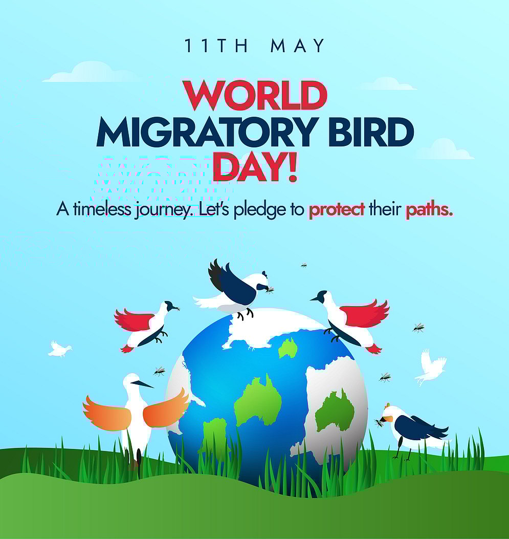 World Migratory Bird Day 2024 Theme Date, History, Purpose