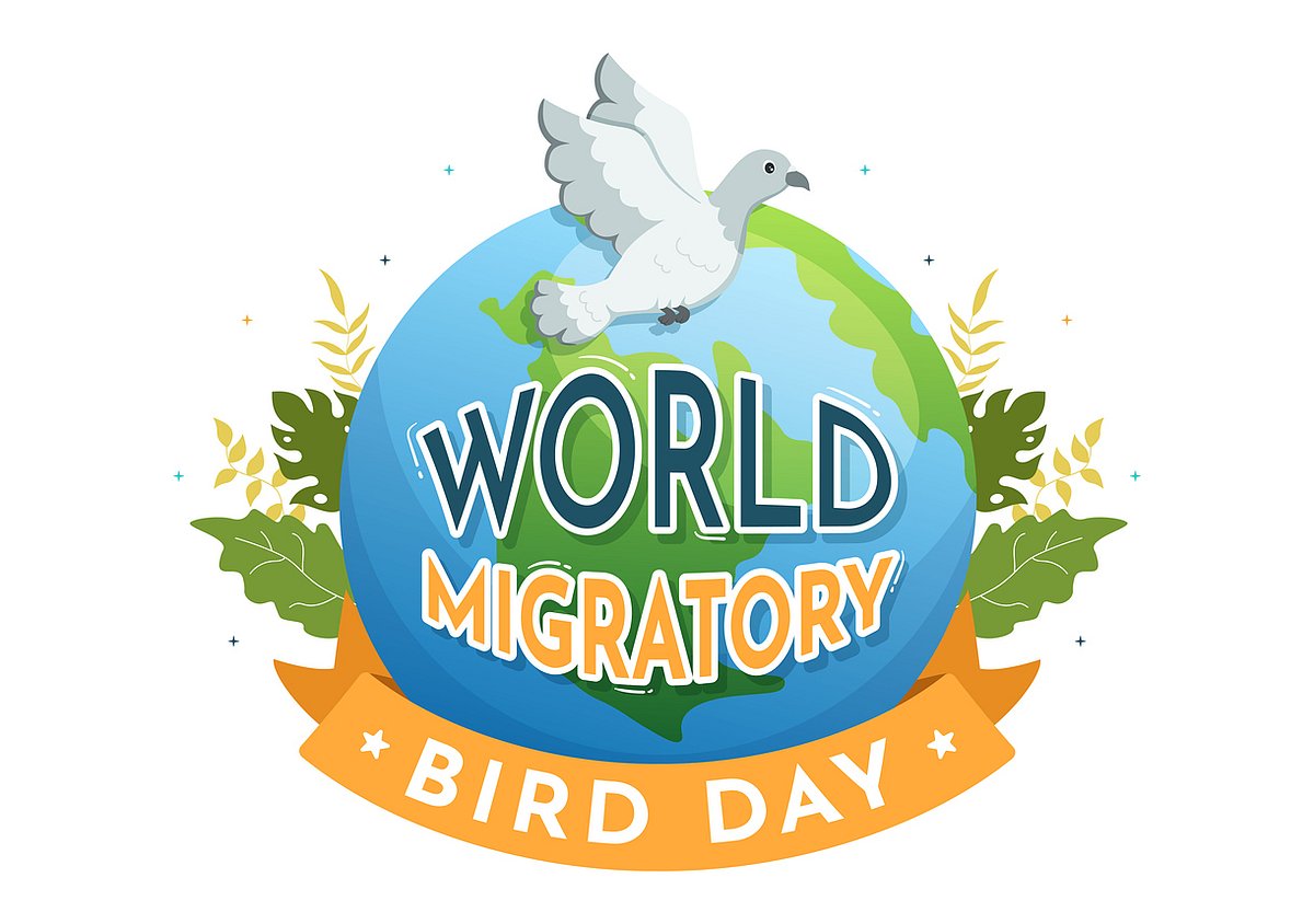 World Migratory Bird Day 2024 Theme Date, History, Purpose