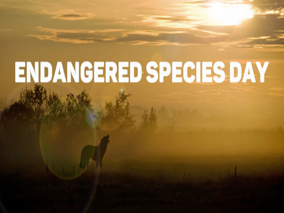 National Endangered Species Day 2024: Date, Theme, History ...