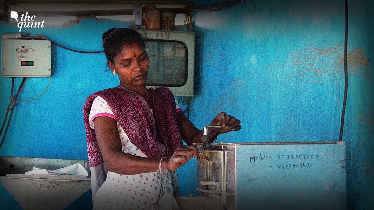 'People Used to Taunt Us But...': Jharkhand's Women Entrepreneurs Adopt